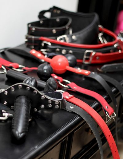 ball gags, dildo gags, leather collars